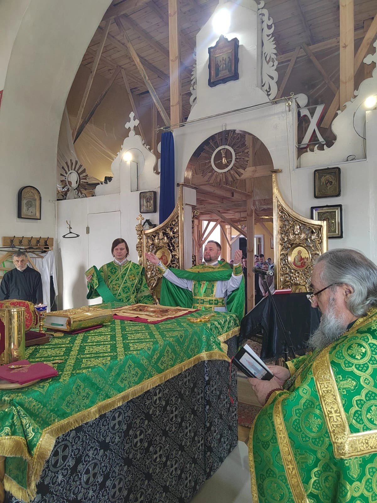 Празднование Входа Господня в Иерусалим