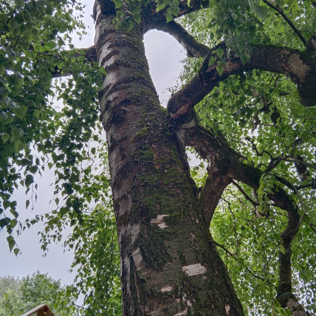 Паломническая поездка в Серафимо-Дивеевский женский монастырь. 