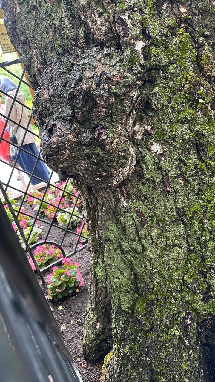 Паломническая поездка в Серафимо-Дивеевский женский монастырь. 