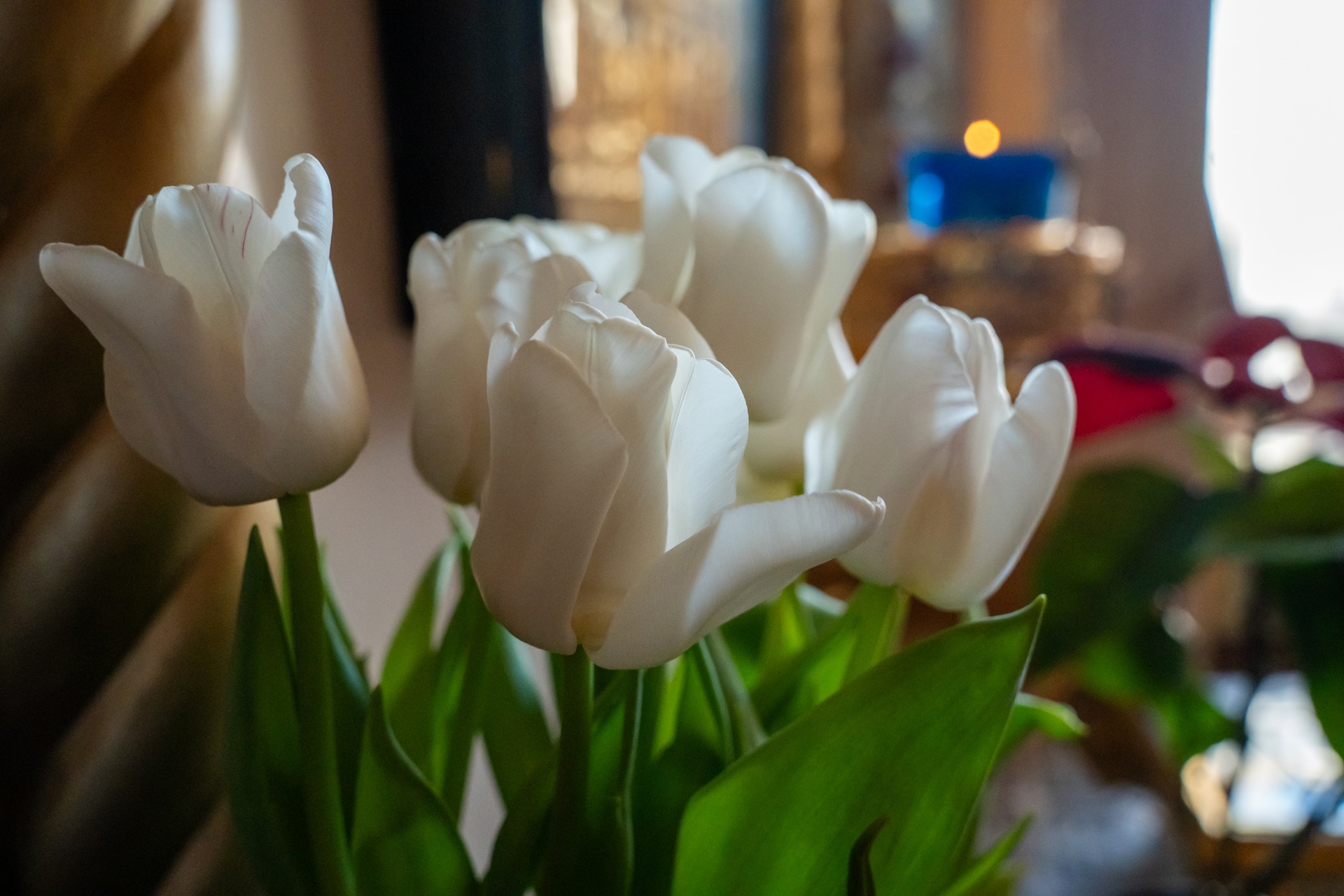 Митрополит Серафим совершил чин Пассии в нашем храме   