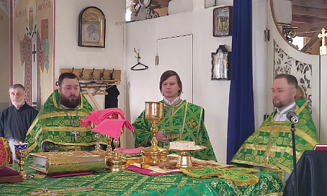 Празднование Входа Господня в Иерусалим